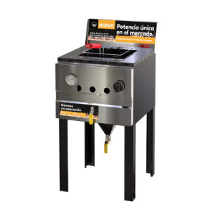 Freidora Morelli F15