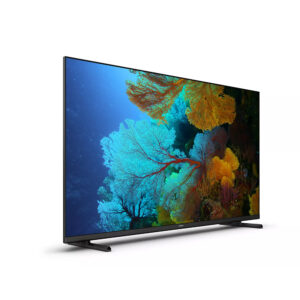 Televisor Philips 43PFD6917/77