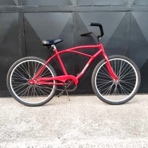 Bicicleta Le Bike Playera
